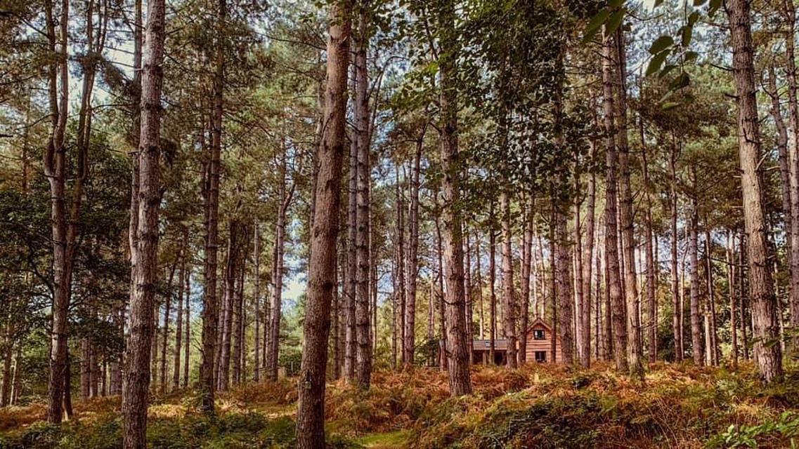 Keepers Cabin - Hot Tub Кингс-Линн Экстерьер фото